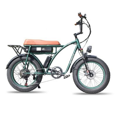 23AH емкость батареи 1000W 2000W Мотор 20 дюймов жирный велосипед электрический велосипед пользовательская поддержка