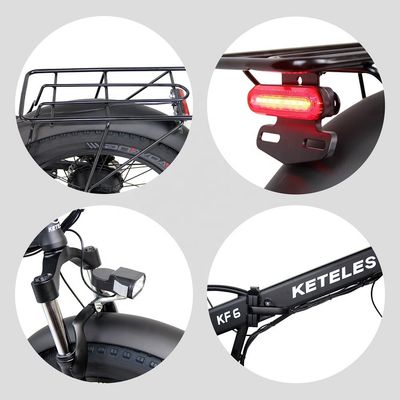 2024 Direct 20x4.0 Inch Fat Tire Folding E-Bike 1000W с 7 скоростными передачами заднего двигателя